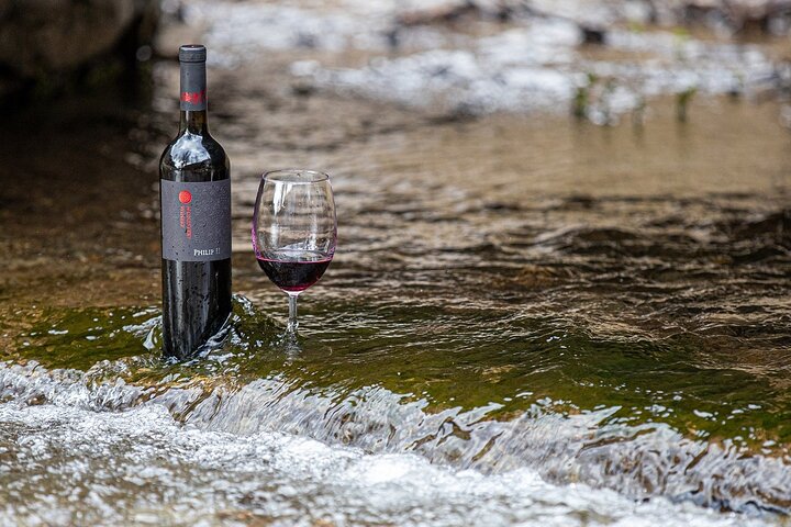 Monastery Winery Tour and Wine Tasting