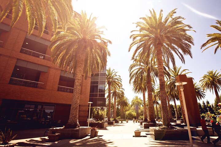 Silicon Valley Self-Guided Driving Audio Tour for Tech Lovers