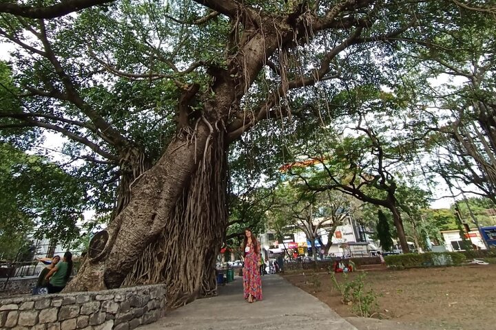Best of Pune Private City Tour with Lunch and Transport