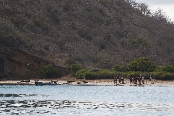 Floreana Island Full Day Tour Including Hiking and Snorkeling