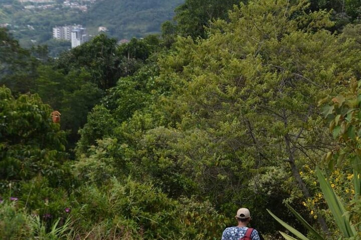 Bird-Watching and Nature Reserve Experience in Ibague
