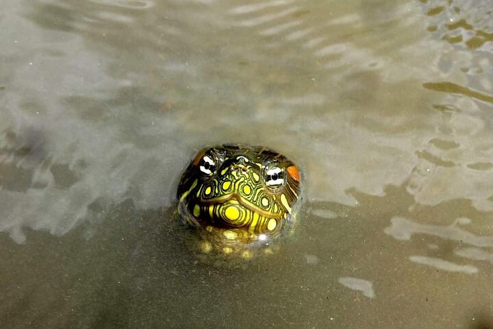 Bird-Watching and Nature Reserve Experience in Ibague