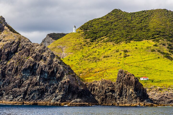 Bay of Islands Cruise & Island Tour - Snorkel, Hike,Swim,Wildlife