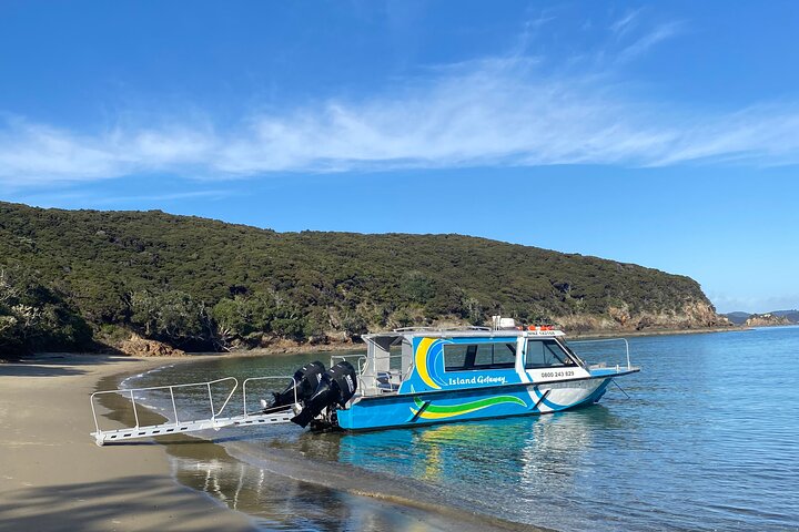 Bay of Islands Cruise & Island Tour - Snorkel, Hike,Swim,Wildlife