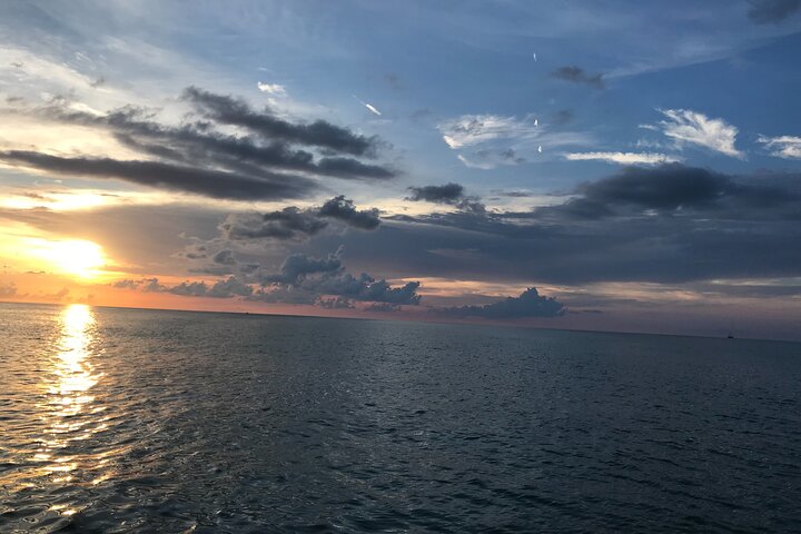 Mega Bite Dolphin Tour Boat in Clearwater Beach