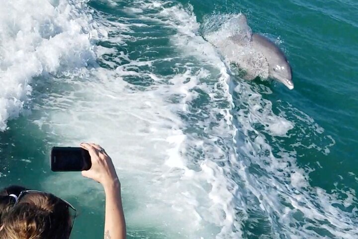 Mega Bite Dolphin Tour Boat in Clearwater Beach