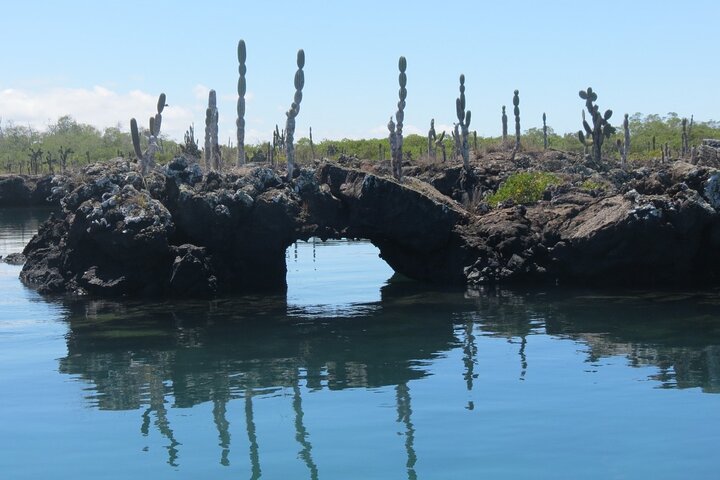 Los Túneles Snorkeling Tour from Isabela Island