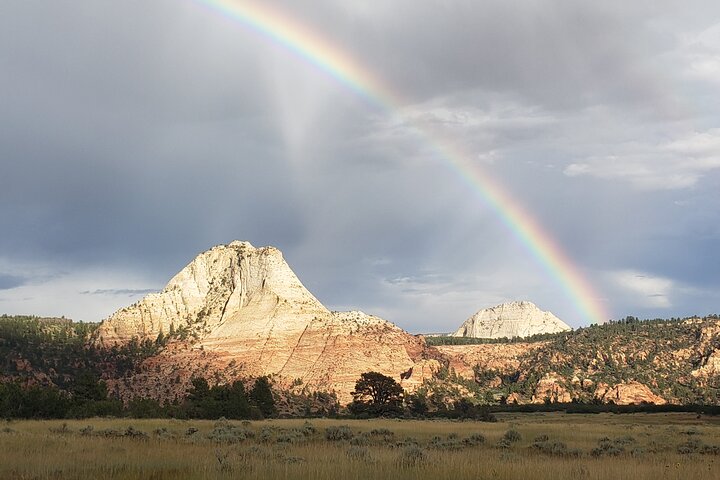 Zion National Park/Kolob Terrace Private 1/2 Day Sightseeing Tour