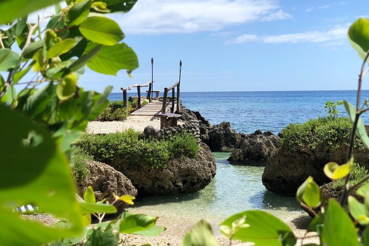Turtle Encounter with Yumi Tours
