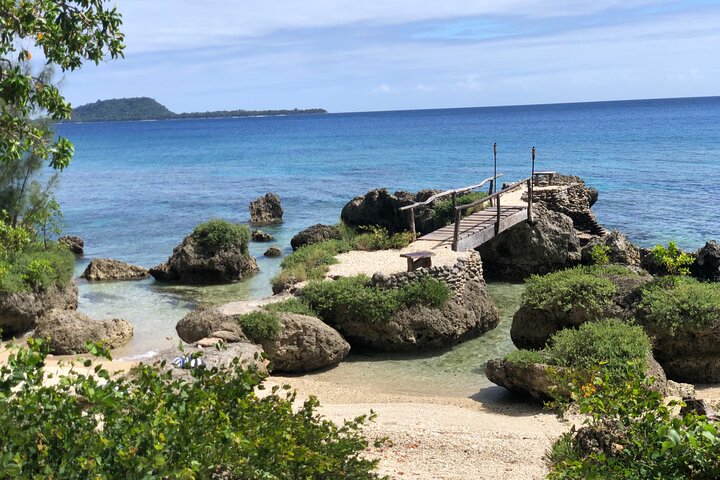 Turtle Encounter with Yumi Tours