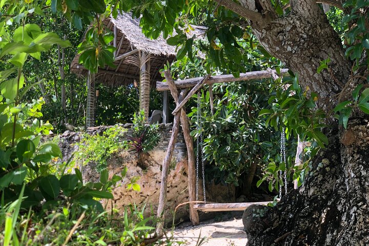 Turtle Encounter with Yumi Tours