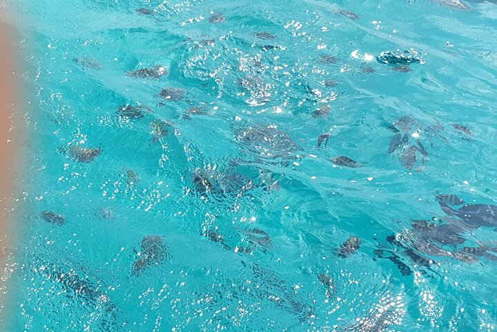 Snorkel marathon