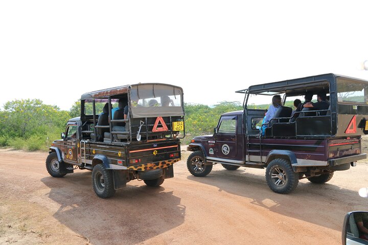 Private 8 Days Tour in Sri Lanka with Transfer and Accommodation
