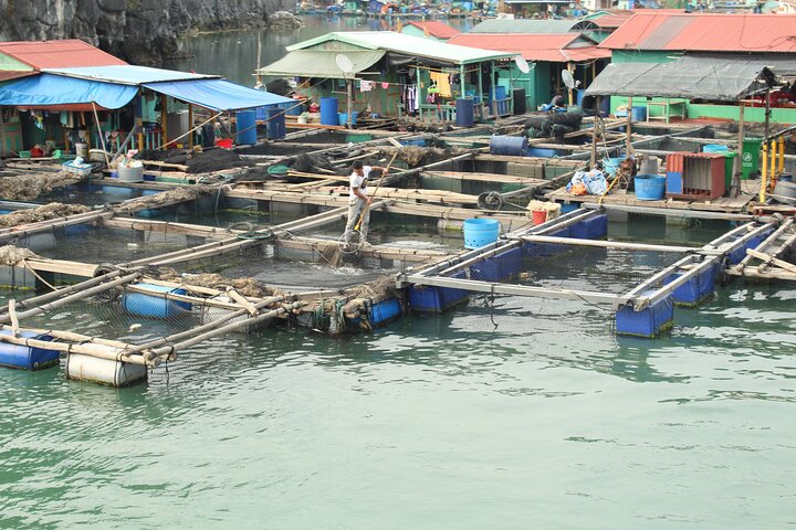 Full day trip to Lan Ha-Ha Long Bay from Cat Ba, avoid the crowds