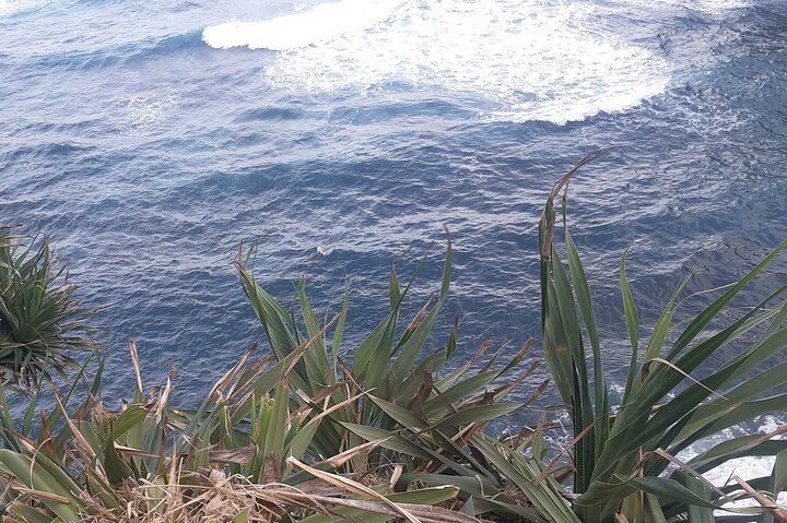 Tanna Island: Full Day Tour Including Mt Yasur Volcano and the Hotspring