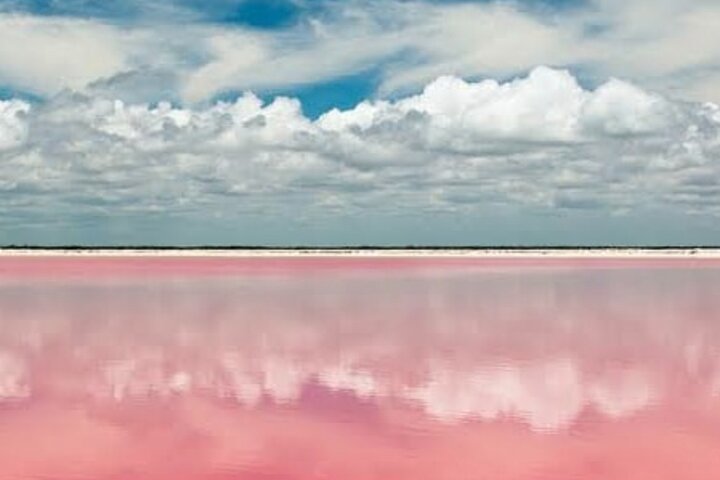 Mérida: Las Coloradas and Río Lagartos with Boat Tour and Lunch