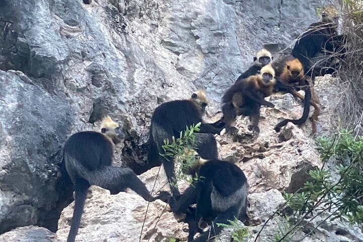 Full day trip to Lan Ha-Ha Long Bay from Cat Ba, avoid the crowds