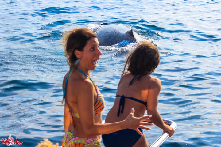 Marietas Islands National Park: Full Day ALL INCLUSIVE Tour