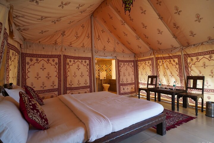 A Night in Thar Desert – Unforgettable Luxury Camel Safari