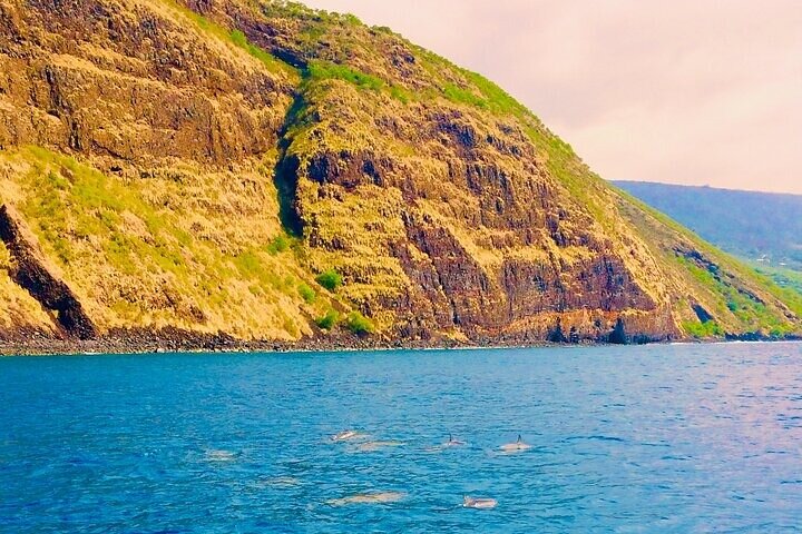 Kona Snorkel Tour: Captain Cook Reef Snorkel, Dolphin & Sea Caves