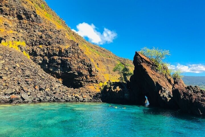 Kona Snorkel Tour: Captain Cook Reef Snorkel, Dolphin & Sea Caves