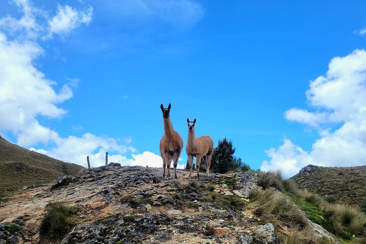 Cajas National Park Small-Group tour from Cuenca