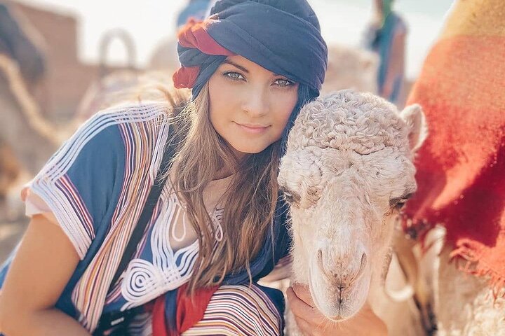 Agafay Desert Package, Quad Bike, Camel Ride and Dinner Show