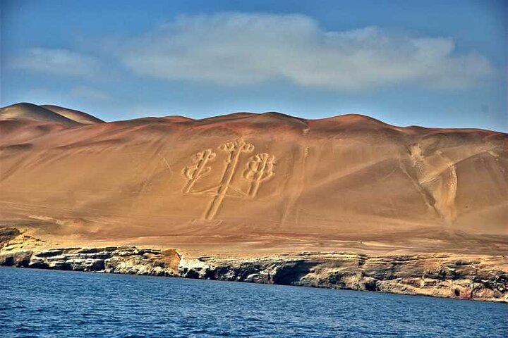 Paracas : Tour to the Ballestas Islands by Modern Boat
