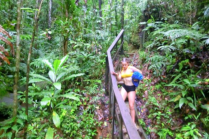 Private Suva Nature and Waterfall Tour