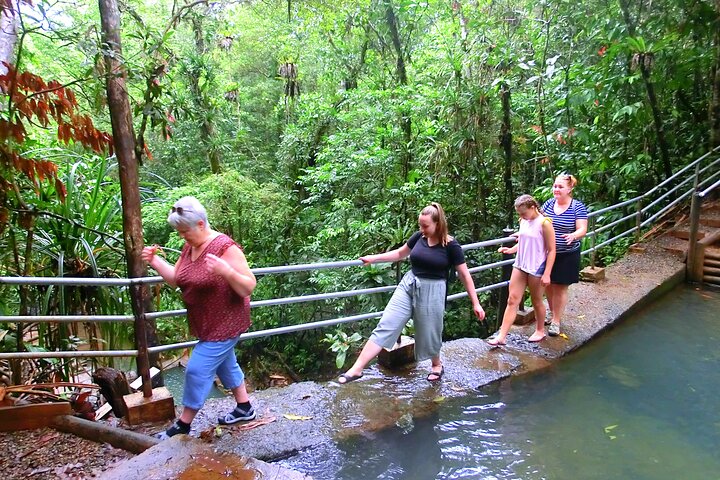 Private Suva Nature and Waterfall Tour
