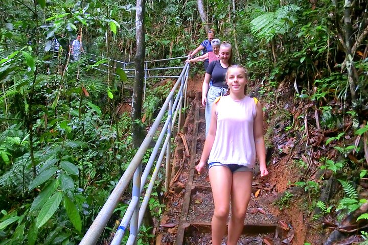 Private Suva Nature and Waterfall Tour
