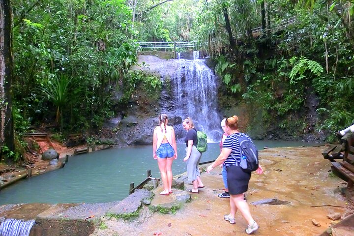 Private Suva Nature and Waterfall Tour