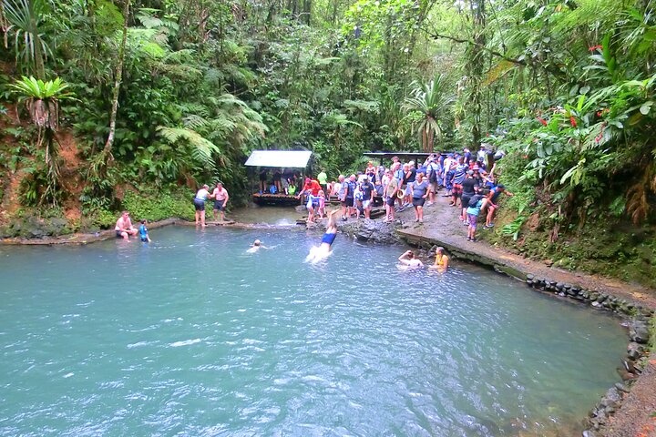 Private Suva Nature and Waterfall Tour