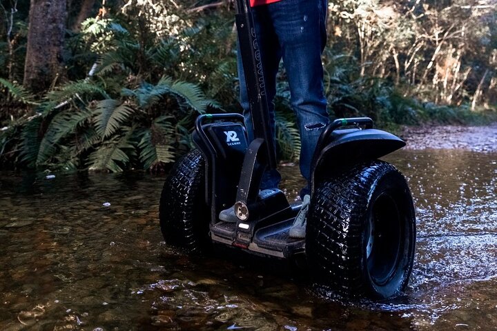 1 Hour Segway Experience
