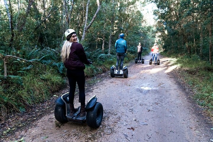 1 Hour Segway Experience