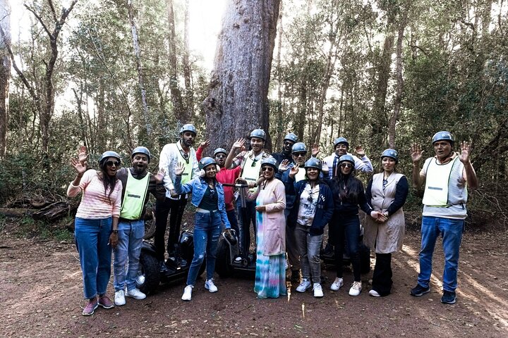 1 Hour Segway Experience