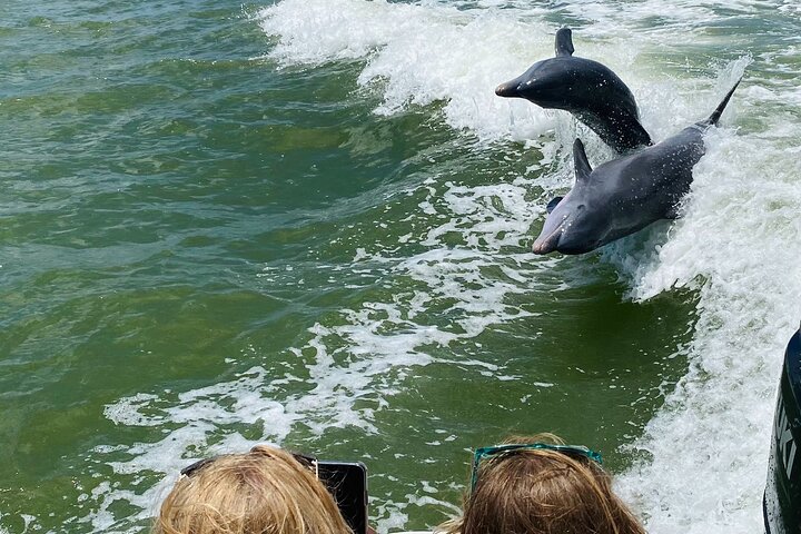 Private Shelling and Dolphin Excursion