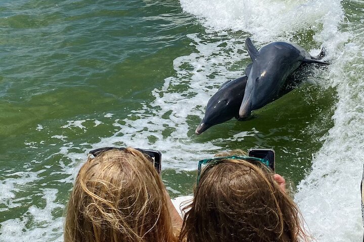 Private Shelling and Dolphin Excursion
