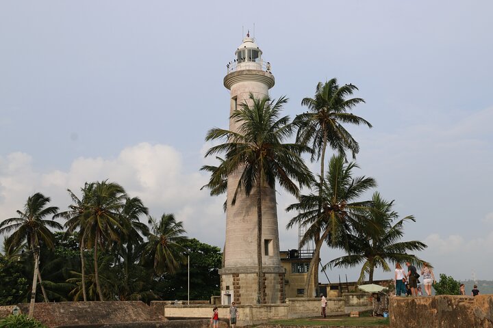Private 8 Days Tour in Sri Lanka with Transfer and Accommodation