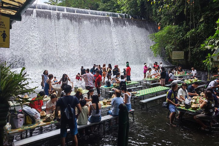 Immerse in Culture: Villa Escudero Coconut Plantation Experience