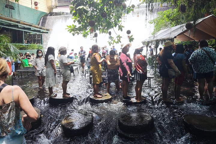 Immerse in Culture: Villa Escudero Coconut Plantation Experience