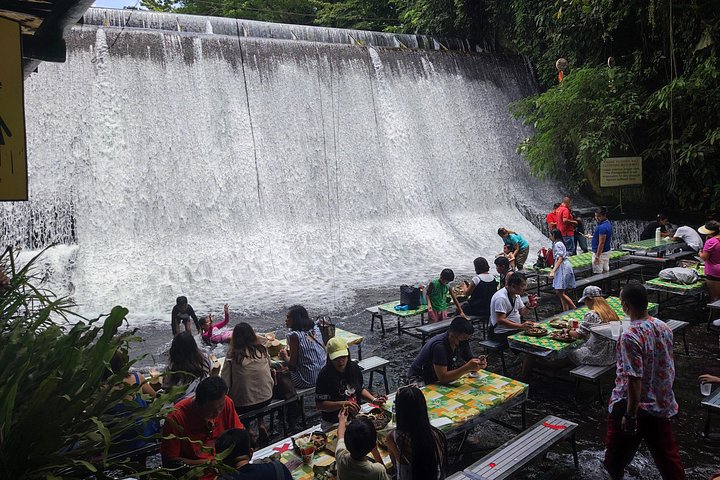 Immerse in Culture: Villa Escudero Coconut Plantation Experience