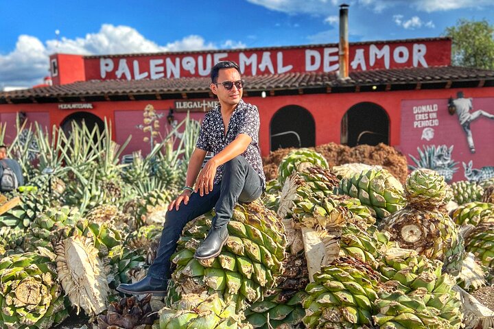 Private Tour: Monte Albán, Hierve el Agua, Teotitlán and Mezcal