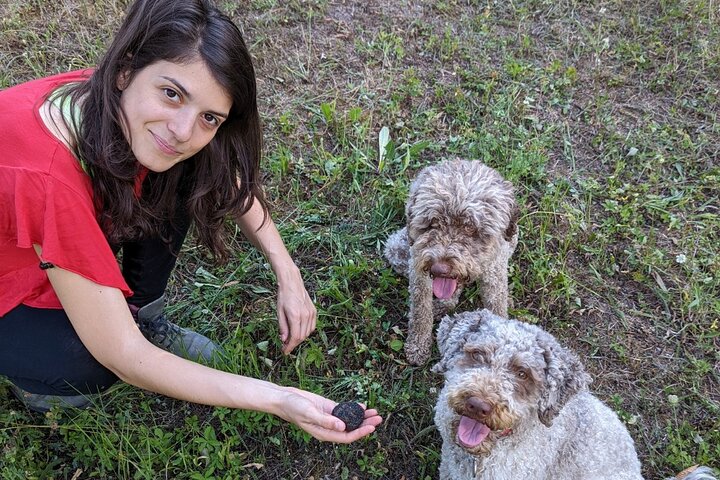 Truffle Hunting & Lunch halfway from Parma to Cinque Terre