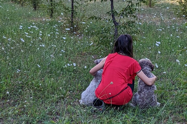 Truffle Hunting & Lunch halfway from Parma to Cinque Terre