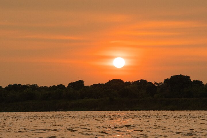 Paraguay River Nature and Wildlife Boat Tour from Asunción