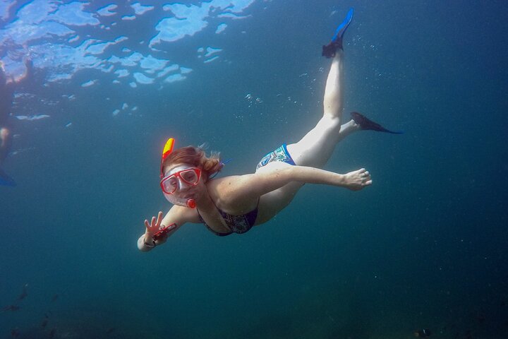 Marietas Islands National Park: Full Day ALL INCLUSIVE Tour
