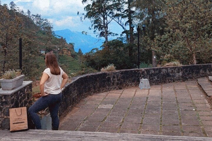 Half-Day Private Trip to Waterfalls and Tea Factory
