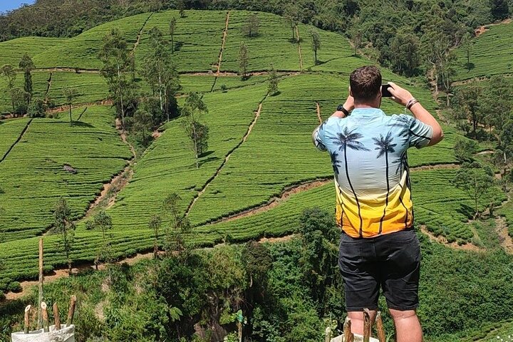 Half-Day Private Trip to Waterfalls and Tea Factory