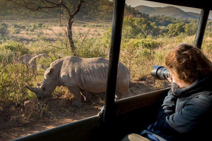 Full Day Ultimate Pilanesberg National Park Safari from Johannesburg or Pretoria